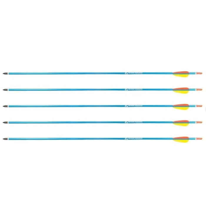 Poe Lang Target 30" D-016-Bflechas De Aluminio 5 Piezas Azul
