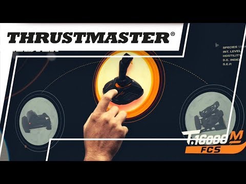 EAN 0663296420367 - Thrustmaster T.Flight Rudder Pedals Negro USB Pedales PC, PlayStation 4, Xbox