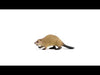 EAN 4059433364582 - schleich Vida Salvaje 14855 figura de juguete para niños