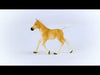 EAN 4059433557519 - schleich HORSE CLUB 13951 figura de juguete para niños