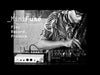 EAN 3760033531755 - Arturia MiniFuse 1 Blanco