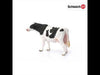 EAN 4005086137974 - schleich FARM WORLD 13797 figura de juguete para niños