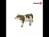 EAN 4005086138018 - schleich FARM WORLD 13801 figura de juguete para niños