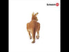 EAN 4005086147560 - schleich Vida Salvaje 14756 figura de juguete para niños