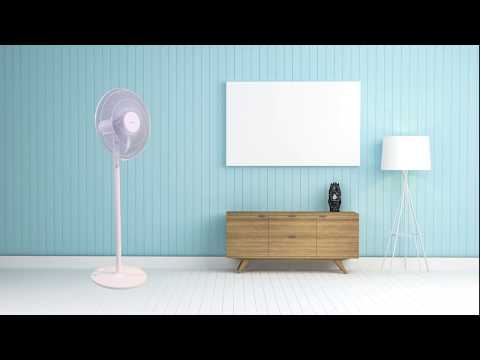 EAN 8425490135643 - Sogo VEN-SS-21245 ventilador Negro