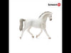 EAN 4055744021336 - schleich HORSE CLUB 13858 figura de juguete para niños
