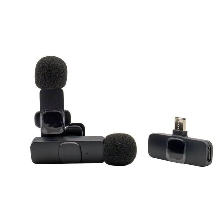 Realpower Hs-1,Wireless Microphone,2 Mikrofone,1 Receptor