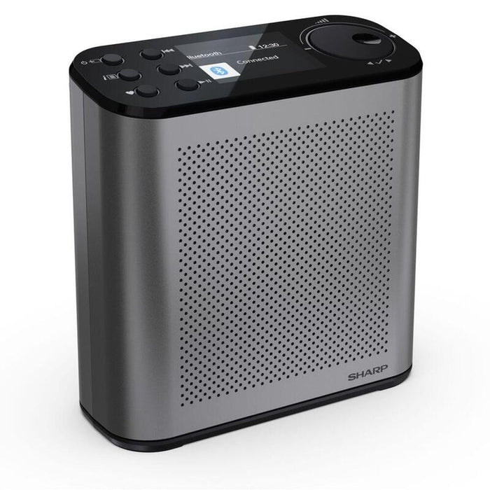 Radio Sharp Dr-P530 Dab+/Bt  Mit Integr. Akku Schwarz