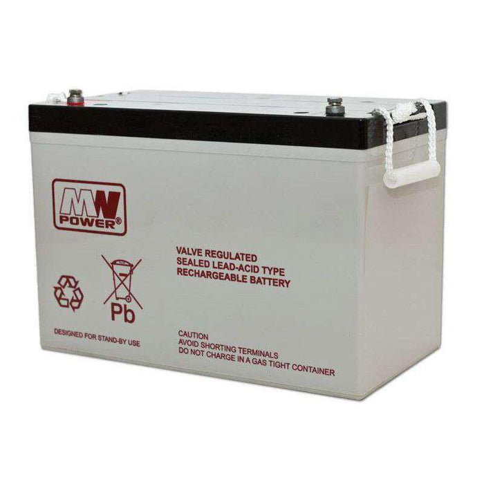 Standard Lead Acid Battery  12v 100ah - 215x173x330mm