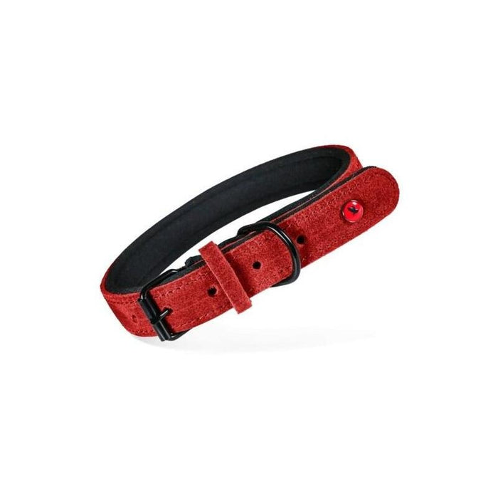 Zolux Collar D/Psa Skórz.Komfort 40cm/16mm Rojo